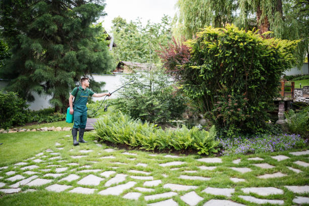 Best Local Pest Control Services  in Humble, TX