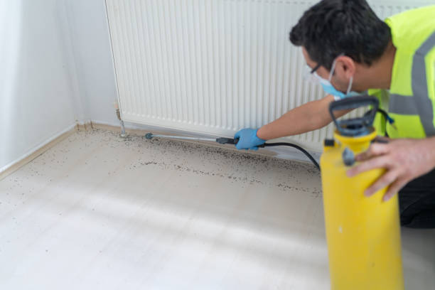 Best Pest Control Cost  in Humble, TX
